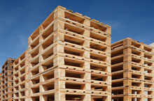 greener wooden pallets