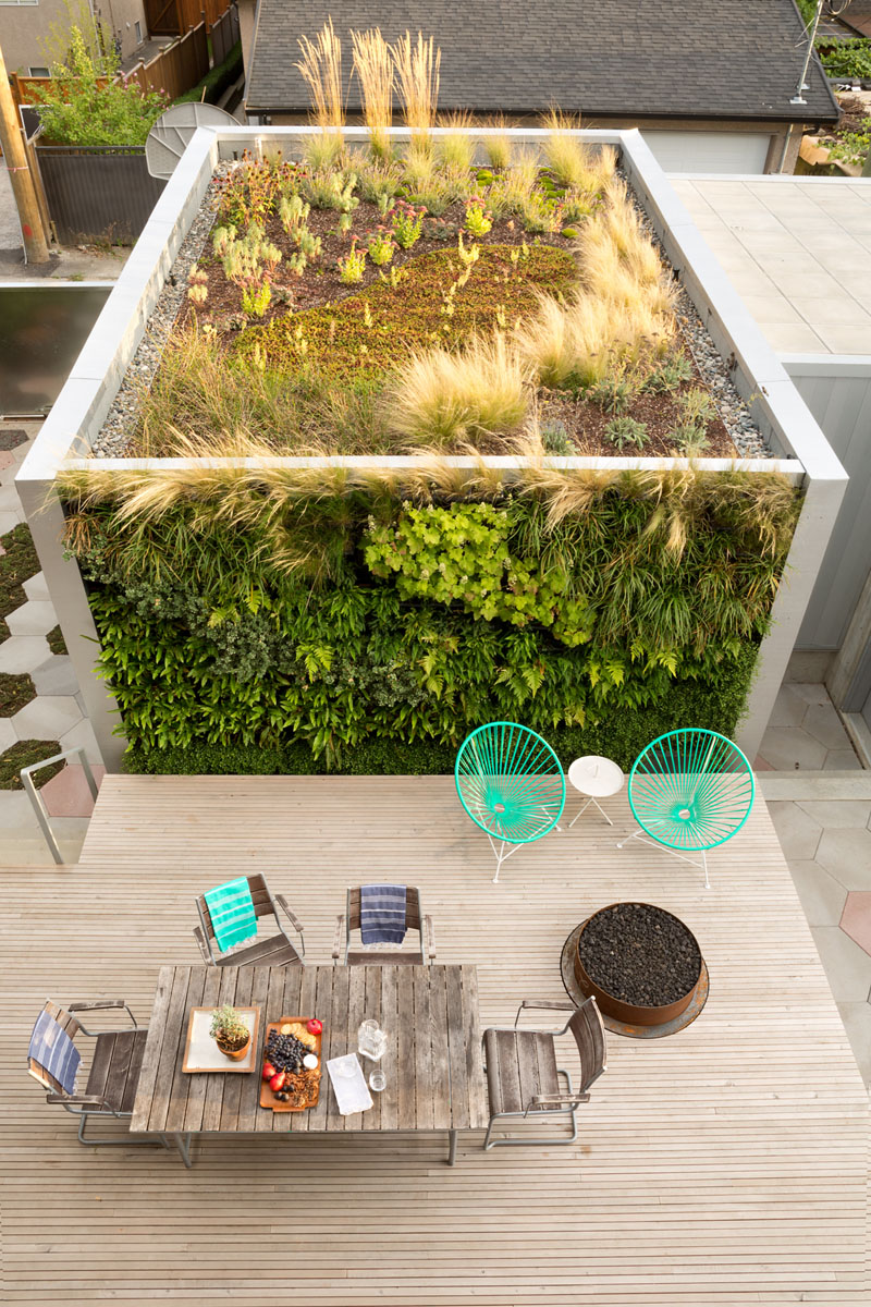 Rough House green wall