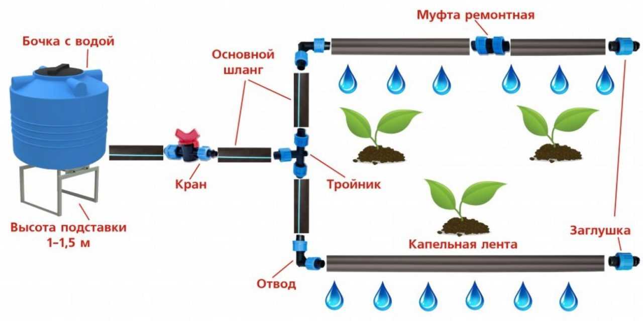 полив в теплице