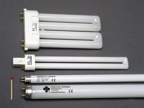 Разновидности конструкций люминесцентных ламп Разновидности конструкций люминесцентных ламп