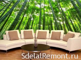 How to glue wallpapers correctlyoto wallpapers Как клеить фотообои правильно фото, оклейка стен фотообоями, поклеить на стены фотообои