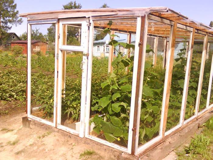Теплица из старых оконных рам