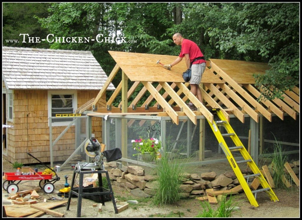 Cover the chicken run. Seriously. Covering the chicken run allows the chickens to utilize the outdoor space in inclement weather. Roofing protects the flock from aerial predators while in the run. Netting secured to the top of the run will provide raptor protection, but won’t help keep the flock dry and busy in the rain and snow.