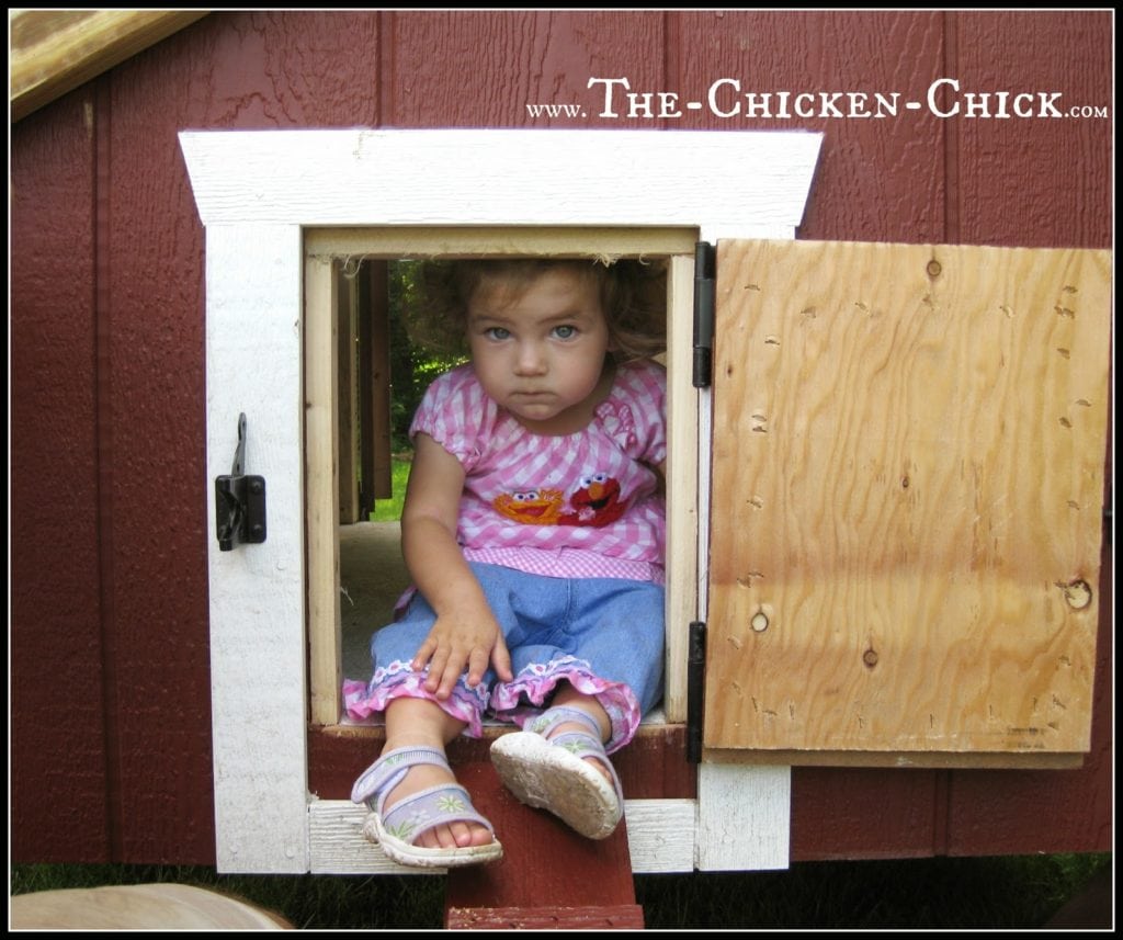 Chickens use a “pop door” to enter and exit the coop. 12” x 14” is fairly standard size. A small ramp ordinarily leads out of the coop ino the run. 