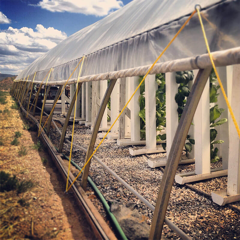 Roll-up-sidewall-hoop-house-with-towers Cool a Greenhouse