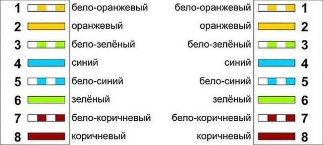 Подключение интернет-розетки RG-45 к сетевому кабелю: схема подключения