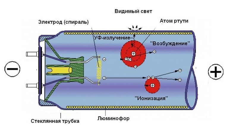 Устройство и принцип действия люминесцентной лампы