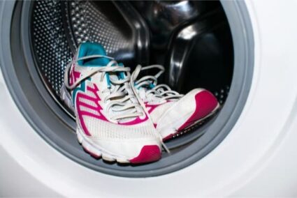 Can bed bugs survive in washing machine?