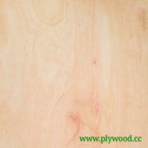 hardwood plywood