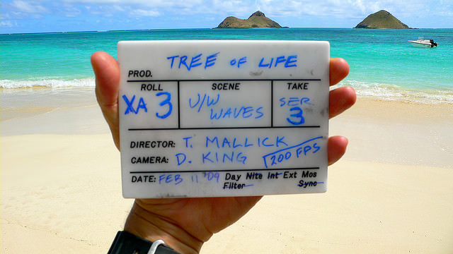 Tree of Life Slate