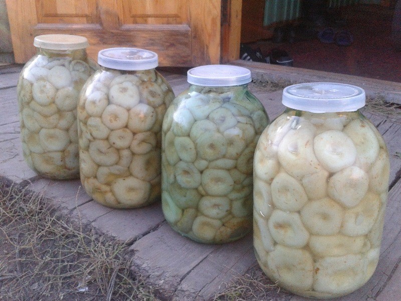 Заготовки на зиму